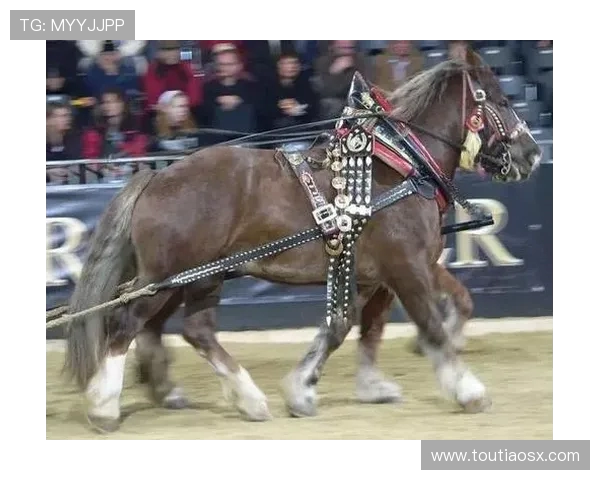 赛尔维亚与意大利激战正酣谁将赢得这场足球盛宴的胜利